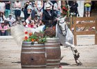 Pferd International 170